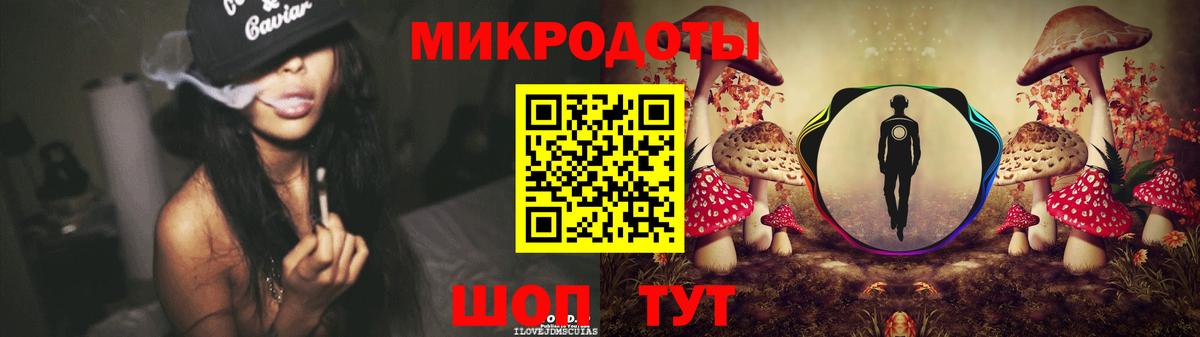 Галлюциногенные грибы Psilocybe  Вход с VPN  Сухой Лог 